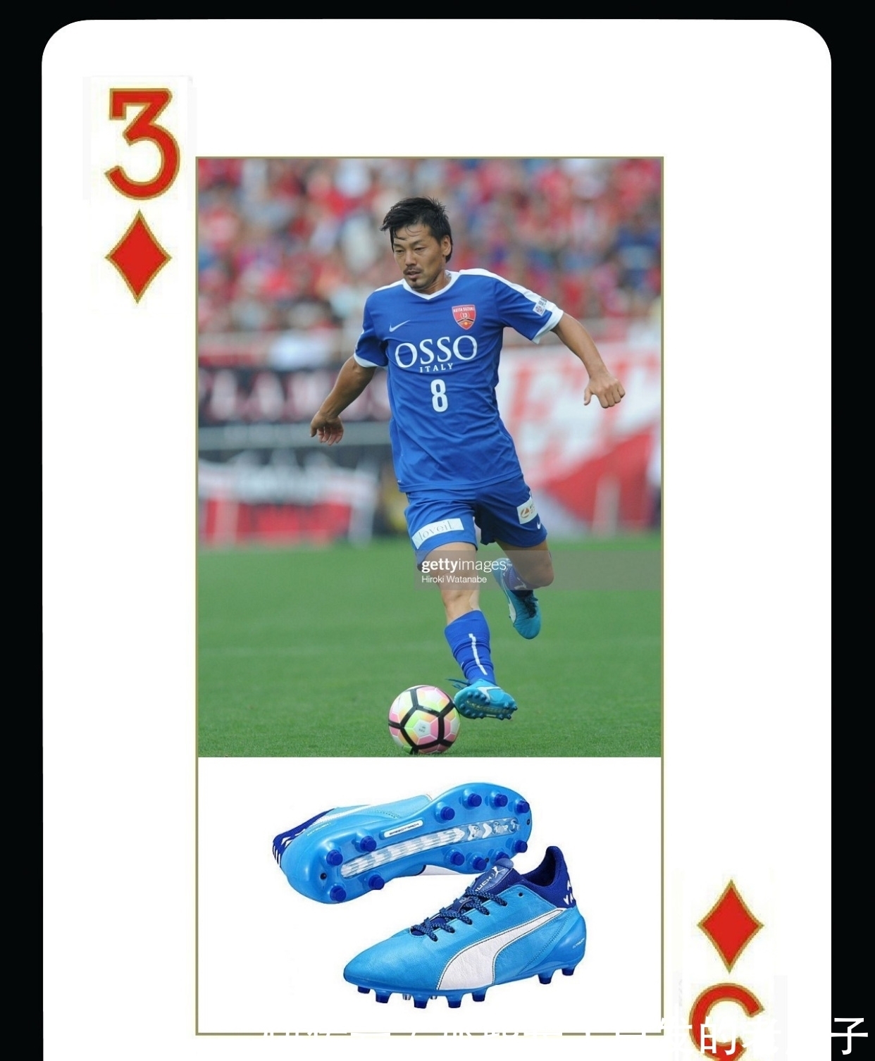 玉米胚芽油脂成套设备