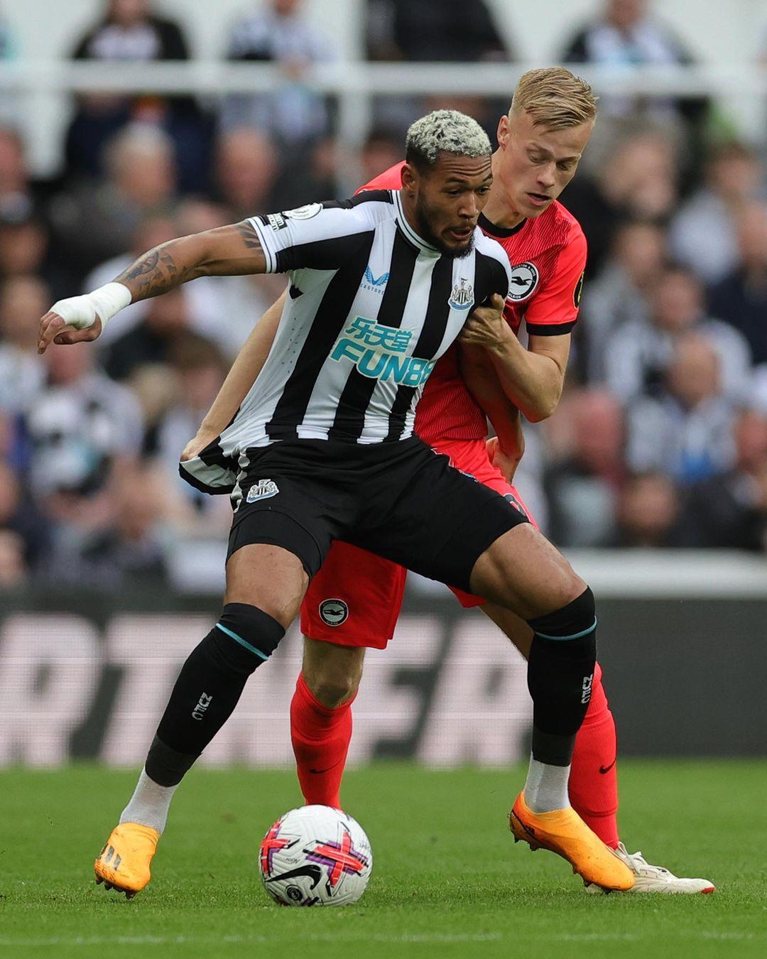 动物油熬炼设备