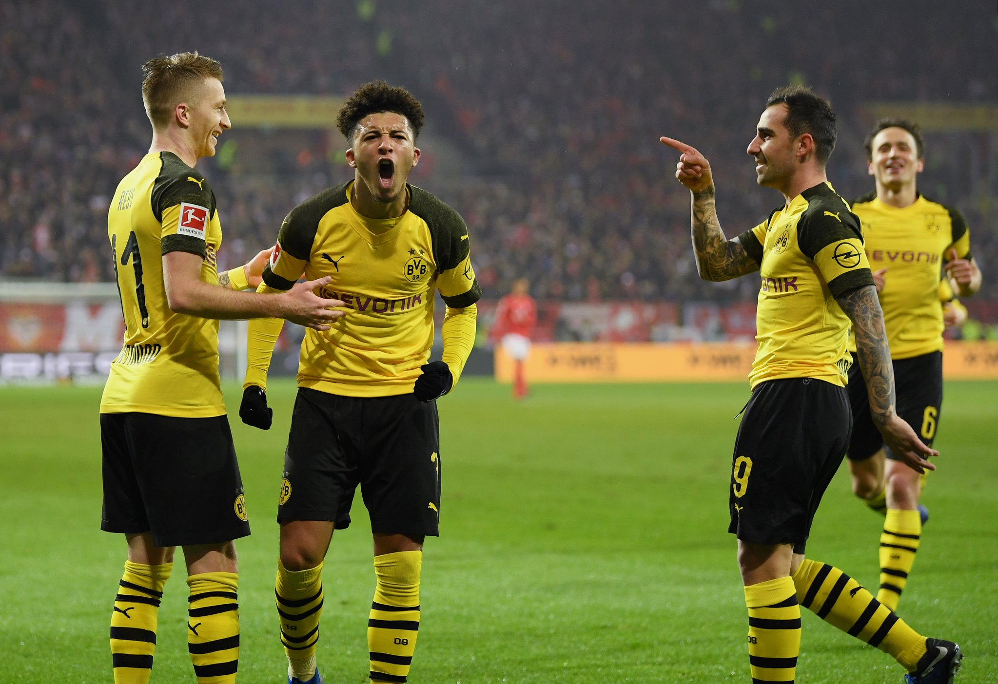 交钥匙米糠油生产线,油料油脂工程